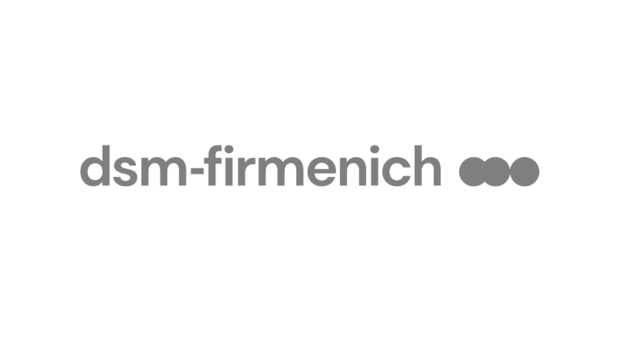 logo_L_dsm