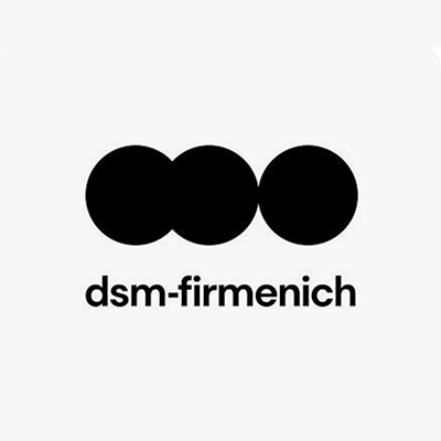 logo_s_dsm